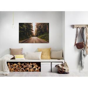 Impression sur toile Road Trip Polyester PVC / Épicéa - Vert / Marron