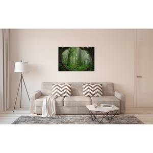 Impression sur toile Tropical Forest Polyester PVC / Épicéa - Vert / Marron