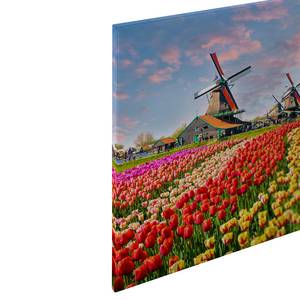 Impression sur toile Tulipes Polyester PVC / Épicéa - Multicolore / Jaune