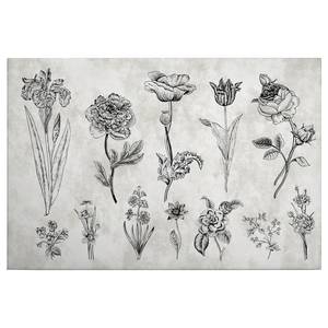 Wandbild Sketchpad Floral Polyester PVC / Fichtenholz - Grau / Schwarz