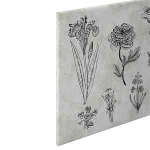 Wandbild Sketchpad Floral Polyester PVC / Fichtenholz - Grau / Schwarz