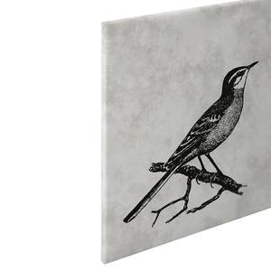 Quadro con uccello Sketchpad Poliestere PVC / Legno di abete rosso - Grigio / Nero