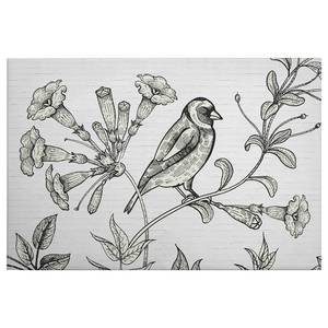 Leinwandbild Vogel Birdy Polyester PVC / Fichtenholz - Schwarz / Weiß