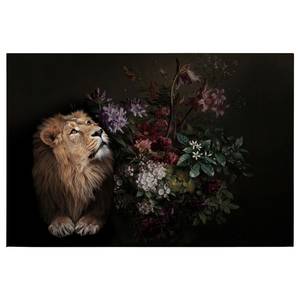 Leinwandbild Lion Wildlife Polyester PVC / Fichtenholz - Schwarz / Beige