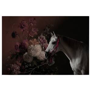 Leinwandbild Pferd & Blumen Polyester PVC / Fichtenholz - Schwarz / Rot