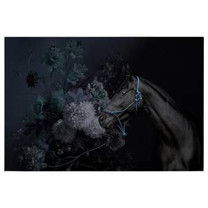 Impression sur toile Horse and flowers Polyester PVC / Épicéa - Bleu / Noir