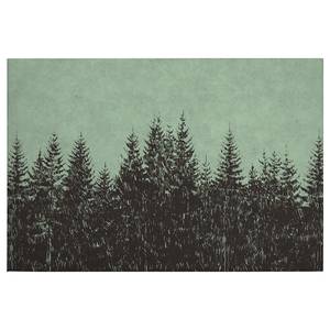 Leinwandbild Black Forest Polyester PVC / Fichtenholz - Grün