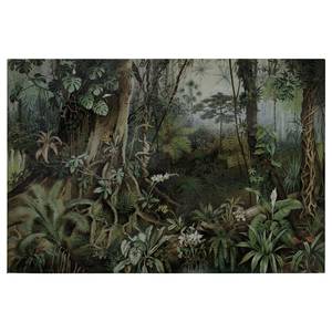 Canvas Jungle Natur Poliestere PVC / Legno di abete rosso - Verde