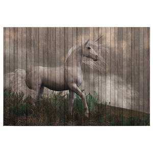 Impression sur toile Unicorn Fantasy Polyester PVC / Épicéa - Gris / Beige