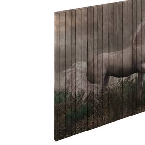 Leinwandbild Unicorn Fantasy Polyester PVC / Fichtenholz - Grau / Beige