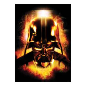 Wandbild Star Wars Vader Head Mehrfarbig - Papier - 50 cm x 70 cm
