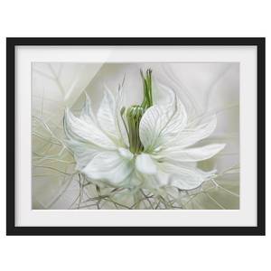 Bild Weiße Nigella II Papier / Kiefer - Weiß - 100 x 70 cm