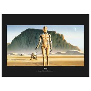 Wandbild Star Wars Droids Mehrfarbig - Papier - 70 cm x 50 cm