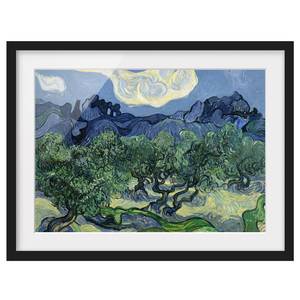 Bild Vincent van Gogh Olivenbäume II Papier / Kiefer - Blau - 100 x 70 cm