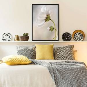 Poster e cornice con fiori bianchi V Carta / Pino - Beige - 70 x 100 cm