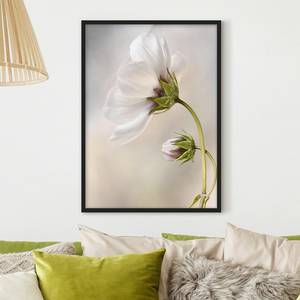 Poster e cornice con fiori bianchi V Carta / Pino - Beige - 50 x 70 cm