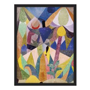 Poster con cornice Paesaggio tropicale Carta / Pino - Multicolore - 50 x 70 cm