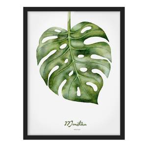 Afbeelding Aquarel Botanie Monstera papier/grenenhout - wit - 70 x 100 cm