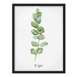 Afbeelding Aquarel Botanie Eucalyptus papier/grenenhout - wit - 50 x 70 cm