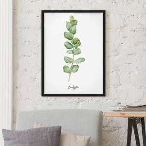 Afbeelding Aquarel Botanie Eucalyptus papier/grenenhout - wit - 50 x 70 cm