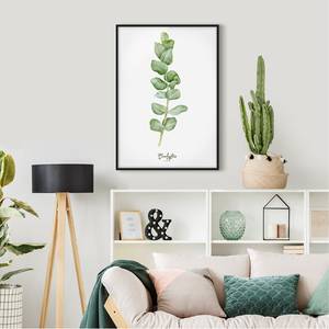 Afbeelding Aquarel Botanie Eucalyptus papier/grenenhout - wit - 50 x 70 cm
