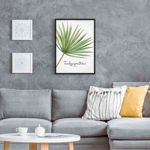 Afbeelding Aquarel Botanie Trachycarpus papier/grenenhout - wit - 50 x 70 cm