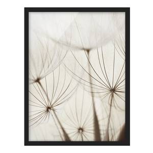 Afbeelding Zacht Gras III papier/grenenhout - wit - 50 x 70 cm
