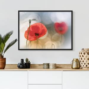 Poster e cornice fiori di papavero V Carta / Pino - Rosso