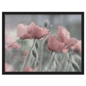 Bild Malerische Mohnblumen I Papier / Kiefer - Pink