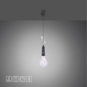 LED-Pendelleuchte Enni I Klarglas / Polycarbonat - 1-flammig