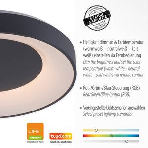 LED-plafondlamp Anika acrylglas/metaal - 1 lichtbron