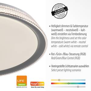 LED-plafondlamp Kari acrylglas/metaal - 1 lichtbron