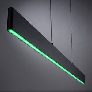 LED-Pendelleuchte Nila Kunststoff / Eisen - 2-flammig - Schwarz
