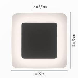 LED-Wand- und Deckenleuchte Fabian II Polycarbonat / Aluminium - 1-flammig