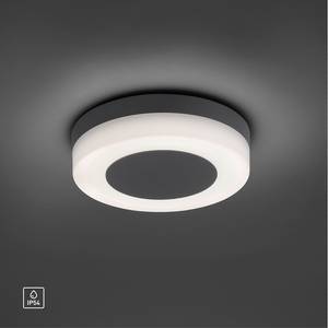 LED-wand- & plafondlamp Fabian I polycarbonaat / aluminium - 1 lichtbron
