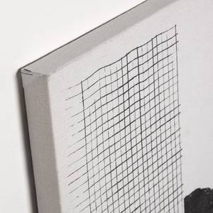 Tableau déco Big Prisma II Feuille de plante - Blanc / Noir - 30 x 40 cm