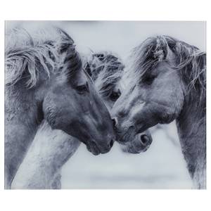 Glasrückwand Horses Edelstahl / Bambus - Silber matt / Braun