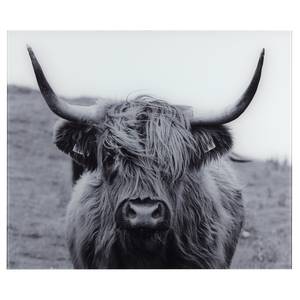 Glazen achterwand Highland Cattle roestvrij staal/bamboehout - mat zilverkleurig/bruin