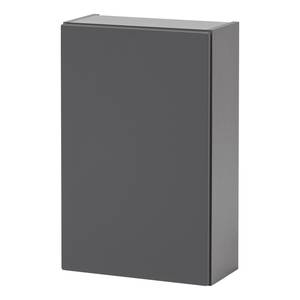 Armoire suspendue Wurdach Gris mat