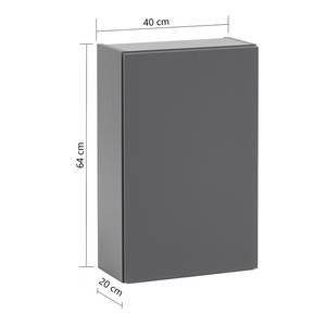 Armoire suspendue Wurdach Gris mat