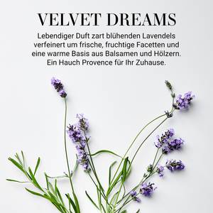 Raumduft HOME & SOUL Velvet Dreams 8 x 23 x 8 cm