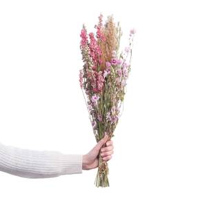 Trockenblumen Blumenstrauß FLOWER MARKET Pflanzenblatt - Mehrfarbig
