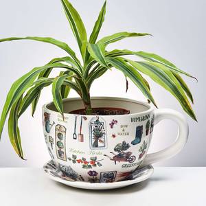 Pflanztasse Gartenkräuter PLANT A CUP Dolomit - Mehrfarbig