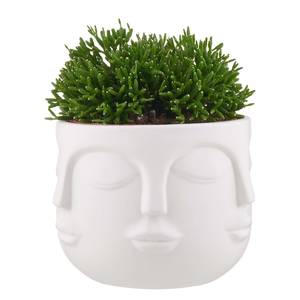 Pot de fleur Visages ARTIST Dolomite - Blanc