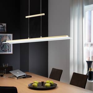 LED-hanglamp Roof transparant glas/ijzer - 1 lichtbron