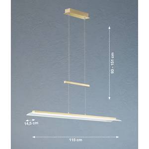 LED-hanglamp Roof transparant glas/ijzer - 1 lichtbron