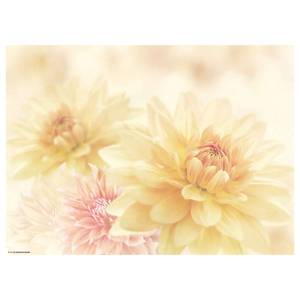 Placemats Dahlia (set van 12) papier - meerdere kleuren