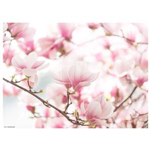 Tischset Magnolien (12er-Set) Papier - Mehrfarbig