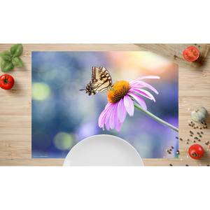 Placemats Vlinder (set van 4) vinyl - meerdere kleuren