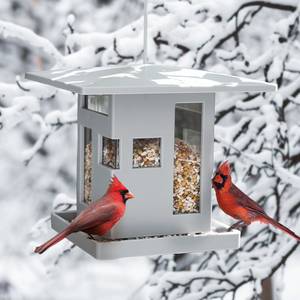Nichoir oiseau Bird Café ABS / Acier - Gris